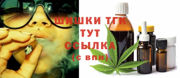 молекула духа Ельня
